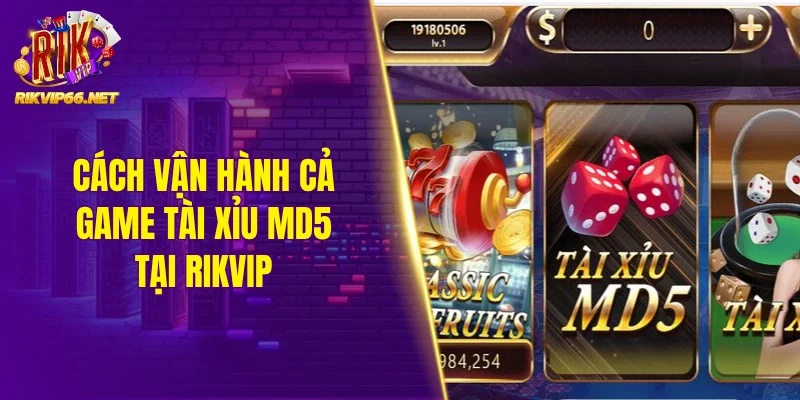 Cách vận hành cả game tài xỉu MD5 