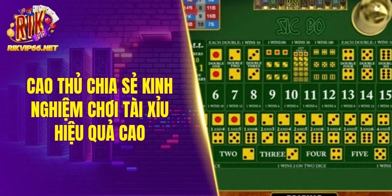 Cao thủ chia sẻ kinh nghiệm chơi tài xỉu hiệu quả cao