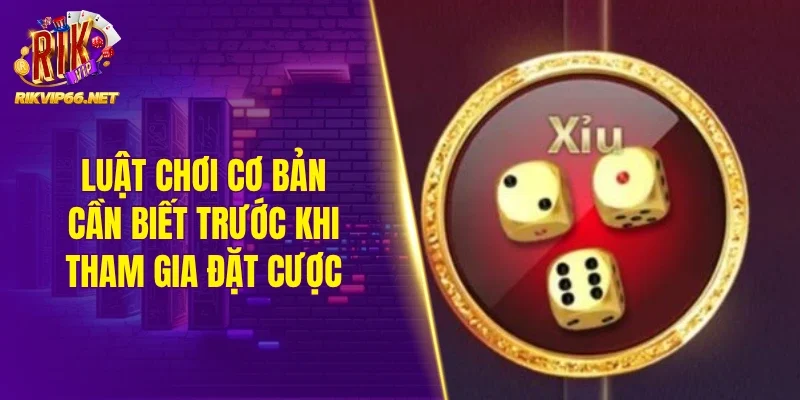 Luật chơi cơ bản cần biết trước khi tham gia đặt cược