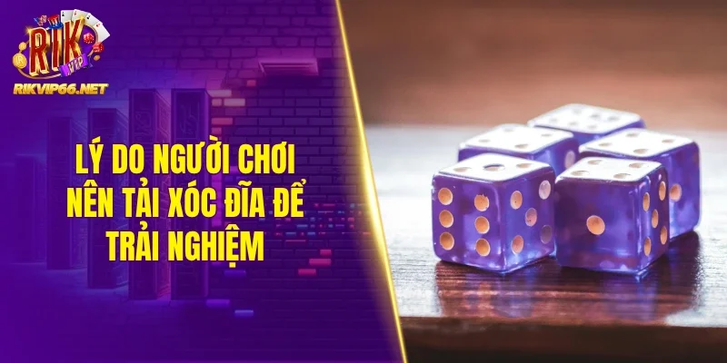 Lý do người chơi nên tải xóc đĩa để trải nghiệm