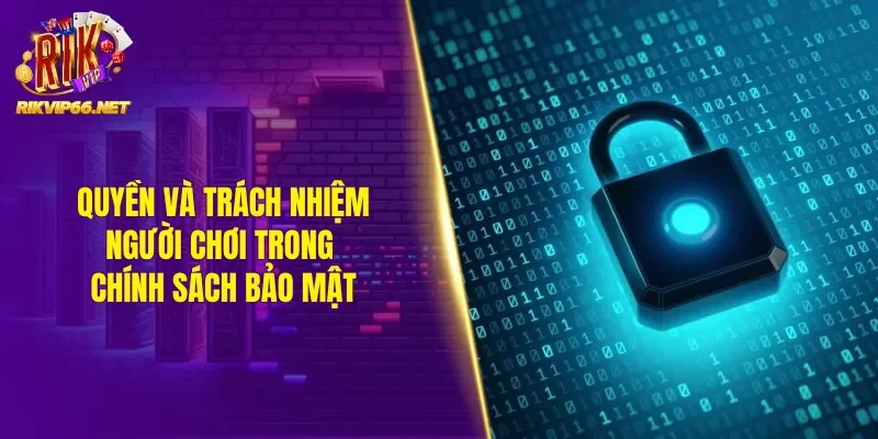 Quyền và trách nhiệm người chơi quy định trong chính sách bảo mật