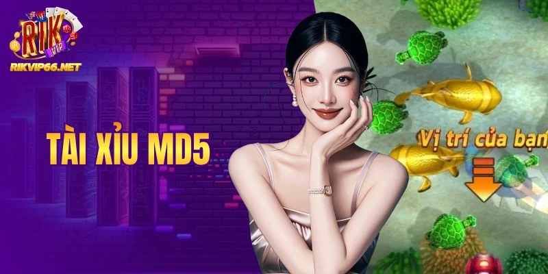 Tài Xỉu MD5 - Giải Mã Thuật Toán Nâng Cao Chiến Thắng